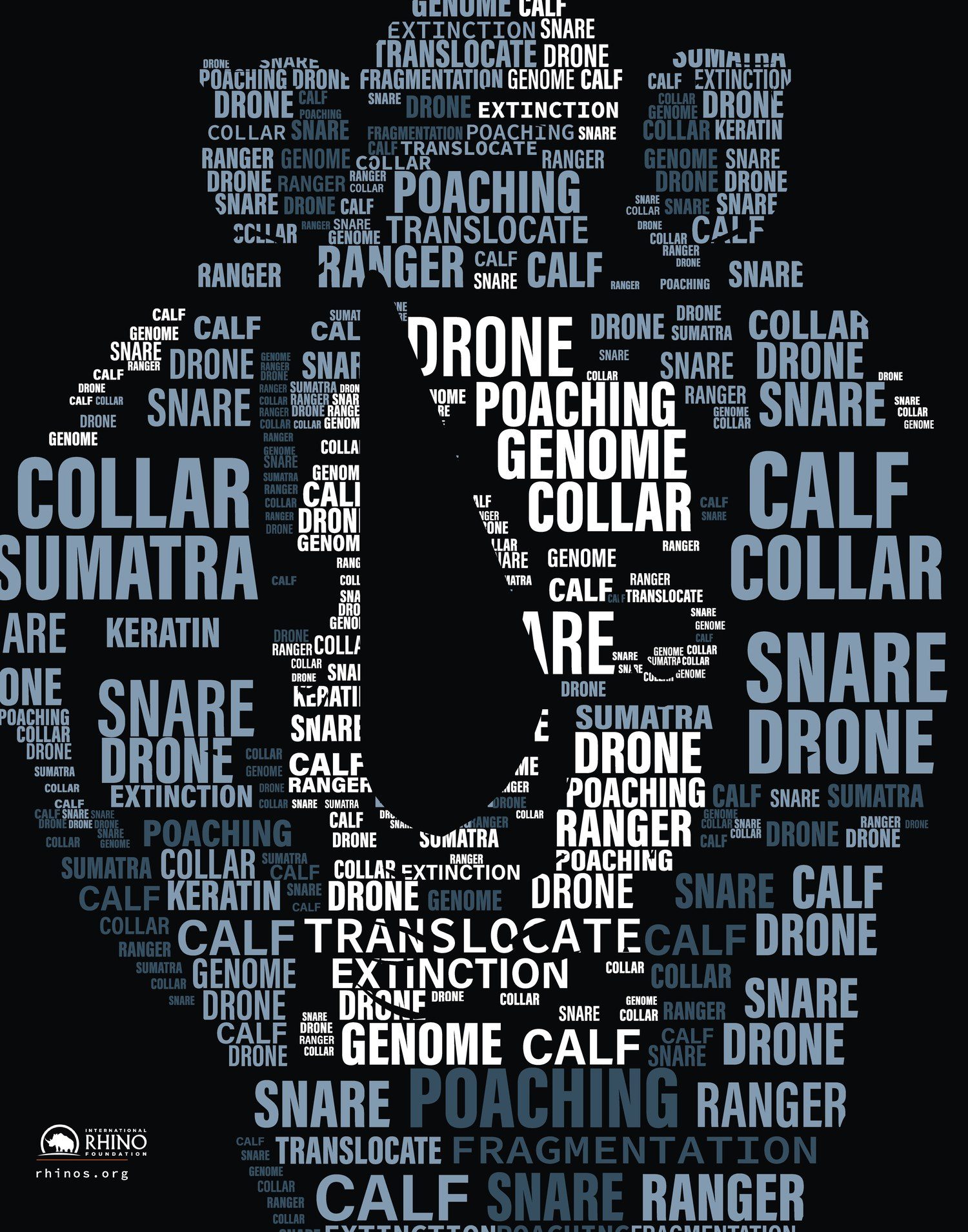 First final of the rhino word poster as submitted before critique (SCF Typography coursework; class project for the International Rhino Foundation, not commissioned)